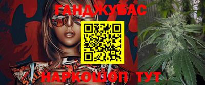 шишки Балахна