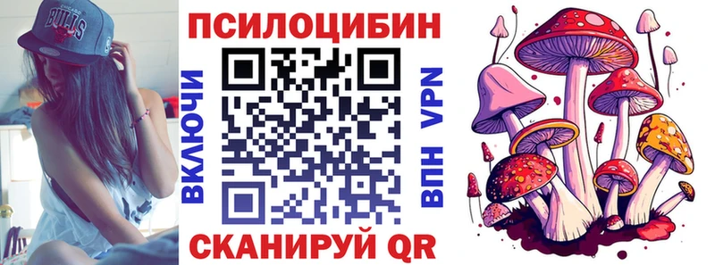 Купить закладки  Ялуторовск  Галлюциногенные грибы Psilocybine cubensis 