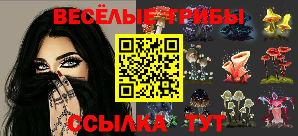 Галлюциногенные грибы мицелий  Вход с VPN  Ялуторовск 
