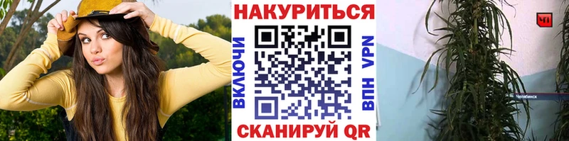 Купить закладки  Ялуторовск  Бошки марихуана ГИДРОПОН 